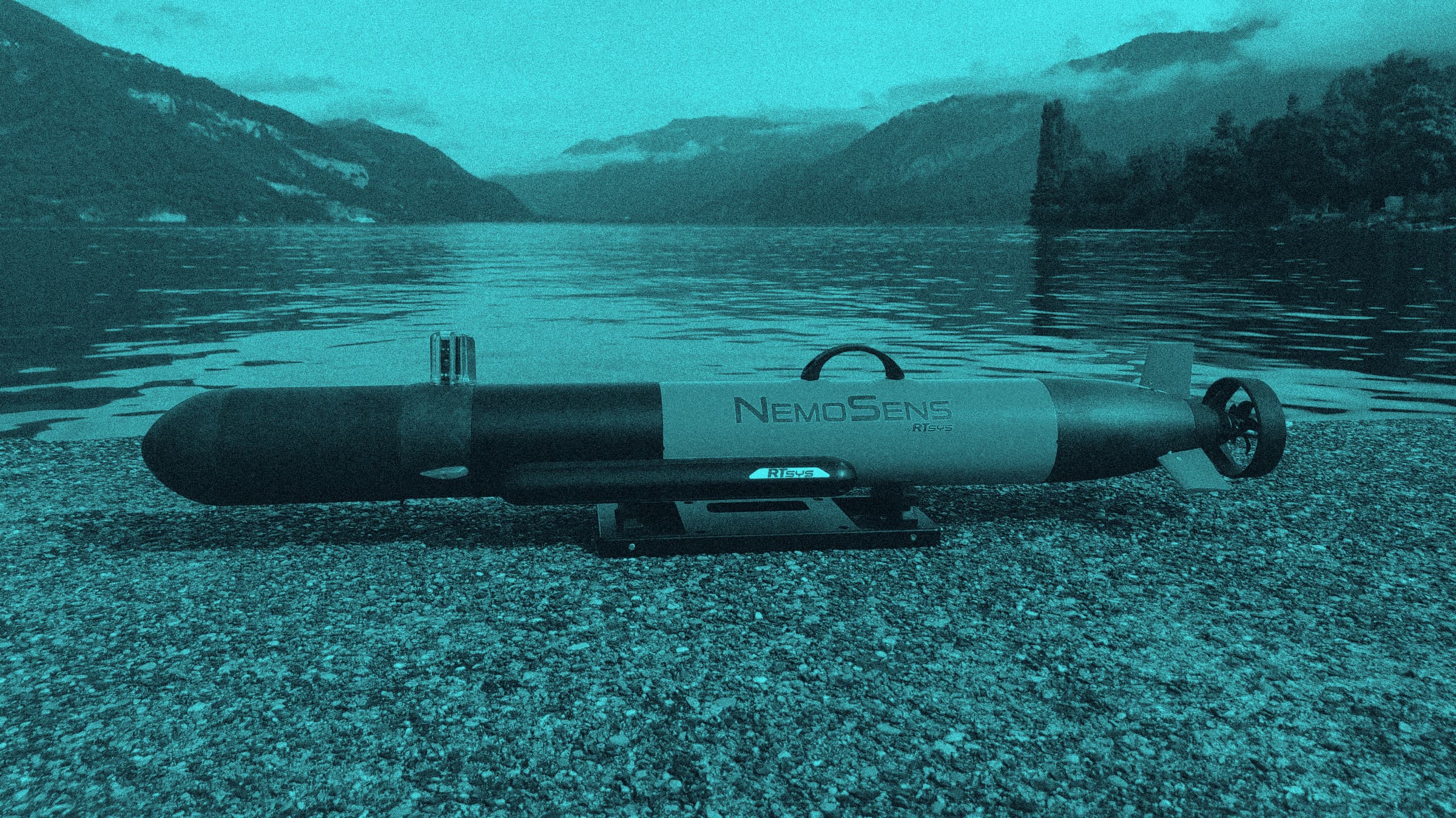 FLANQ Defence Nemosens