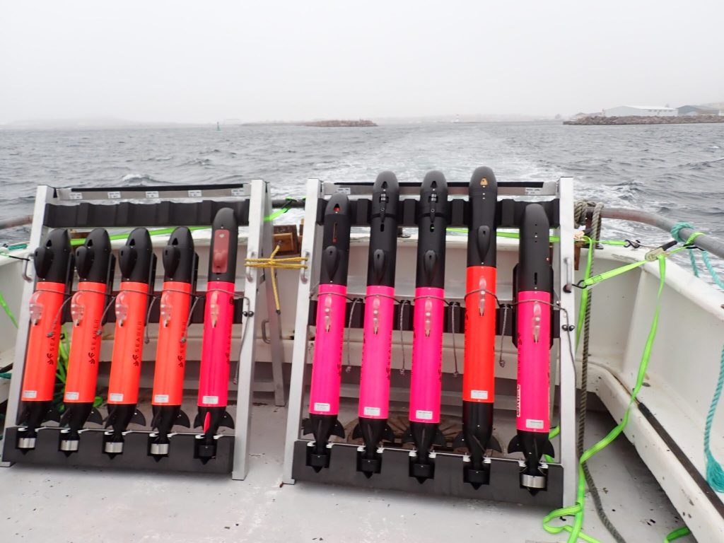 Seaber Deploys Fleet of 10 Micro-AUVs in Saint-Pierre-et-Miquelon